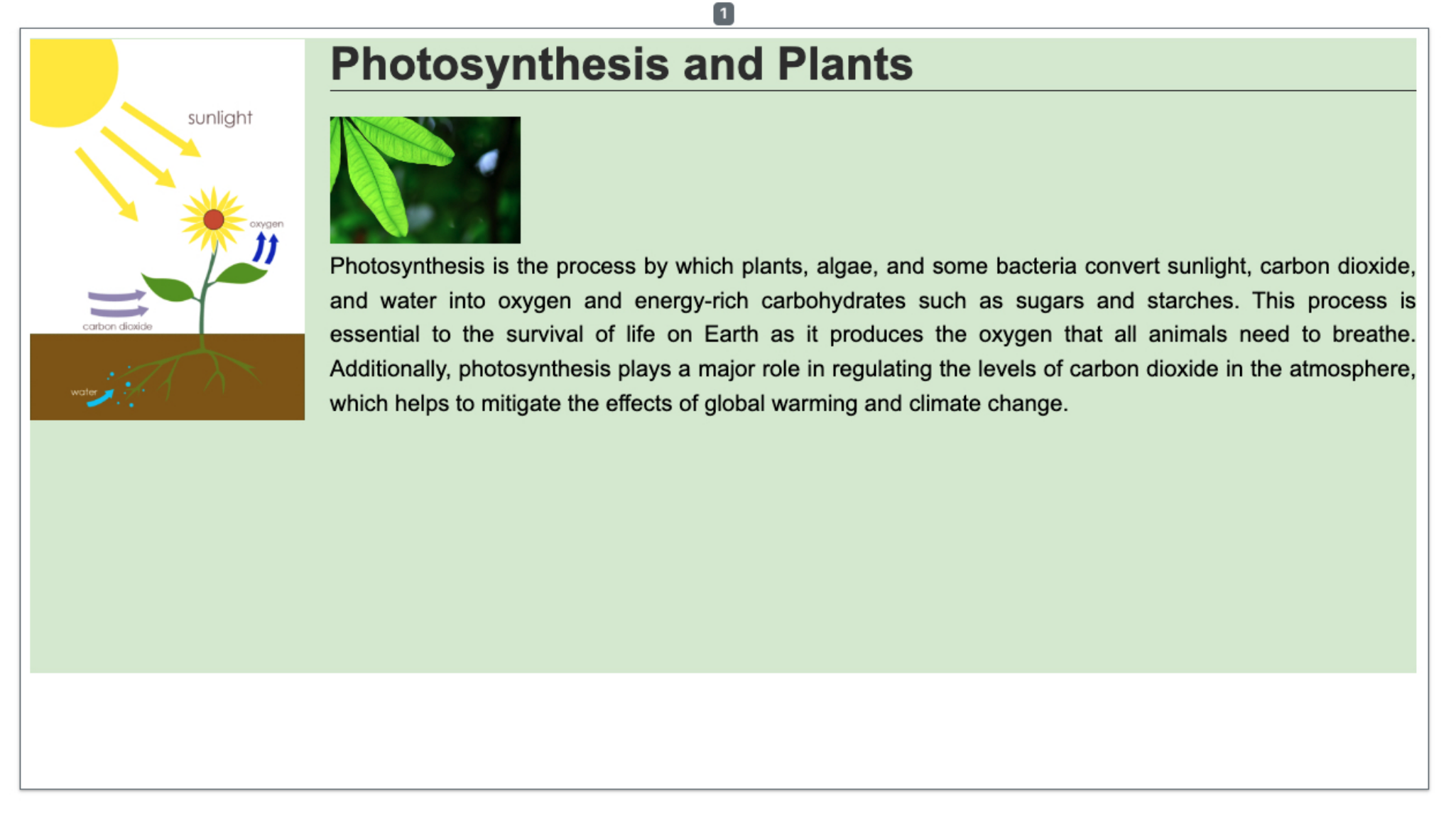 Figure 13