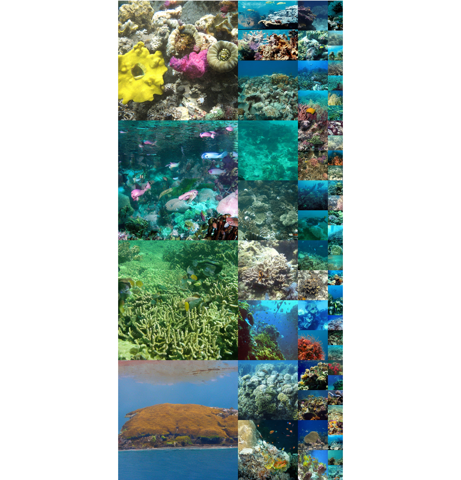 Figure 24