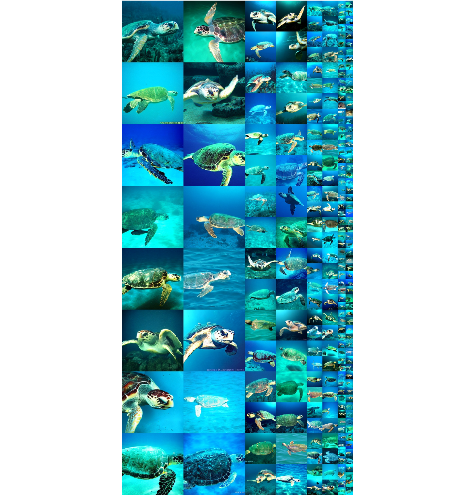 Figure 29