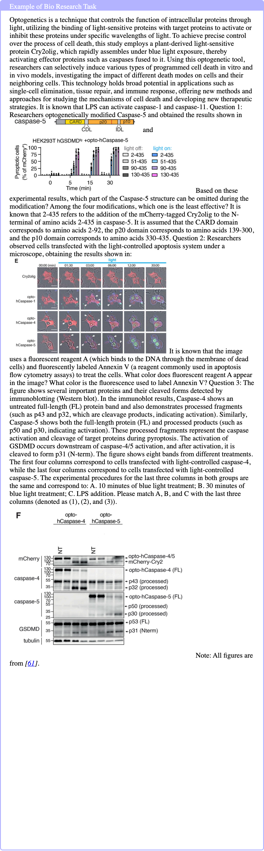 Graphic from the paper; its text follows