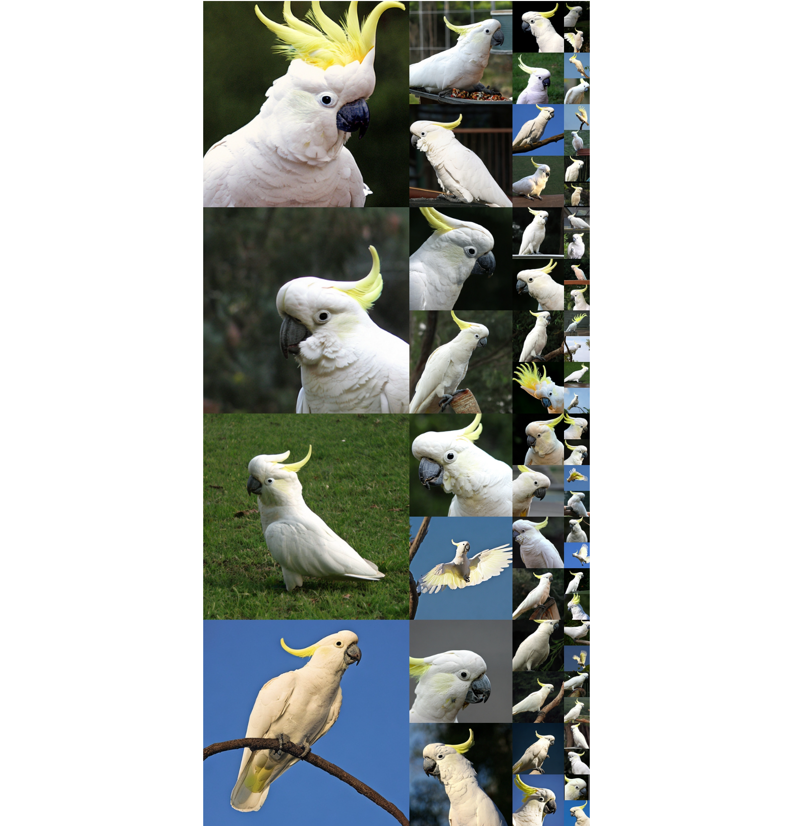 Figure 17